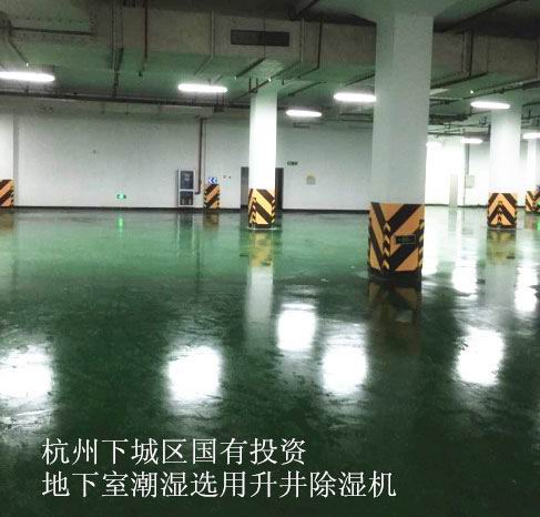 杭州下城區(qū)國(guó)有投資控股有限公司采購(gòu)升井地下室除濕機(jī)